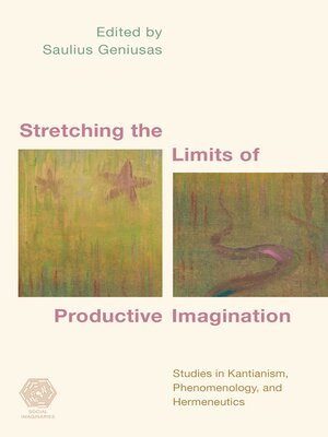cover image of Stretching the Limits of Productive Imagination